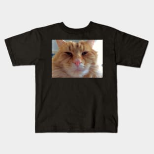 OllieBear Ginger Kitty Cat Kids T-Shirt